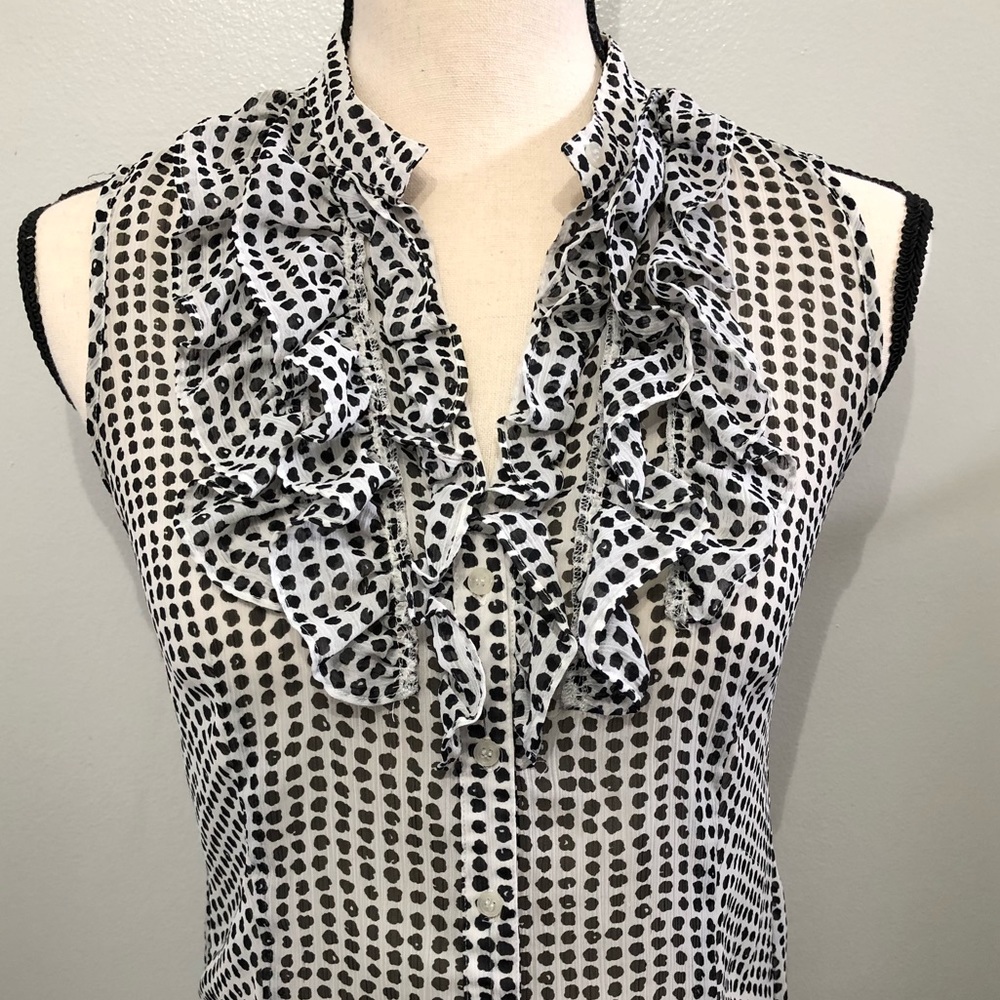 The Limited Blouse
